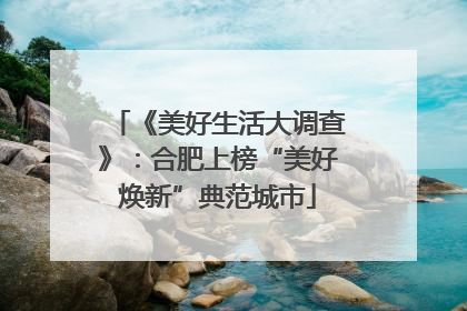 《美好生活大调查》：合肥上榜“美好焕新”典范城市