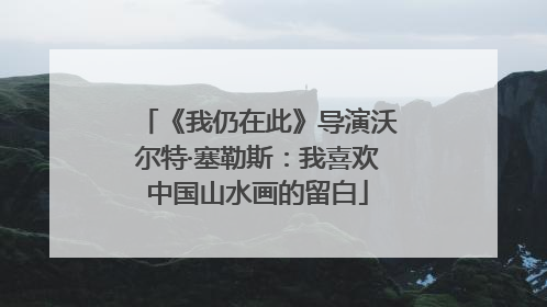 《我仍在此》导演沃尔特·塞勒斯：我喜欢中国山水画的留白