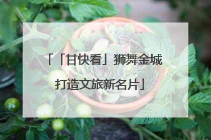 「甘快看」狮舞金城 打造文旅新名片