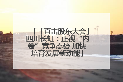 「直击股东大会」四川长虹：正视“内卷”竞争态势 加快培育发展新动能