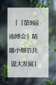「第9届南博会」精雕小细节共谋大发展