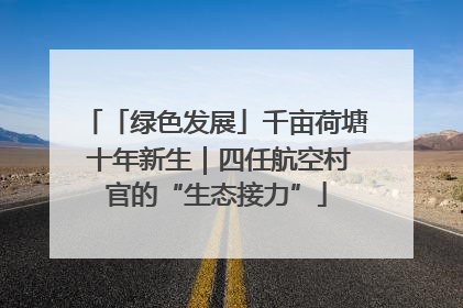 「绿色发展」千亩荷塘 十年新生｜四任航空村官的“生态接力”