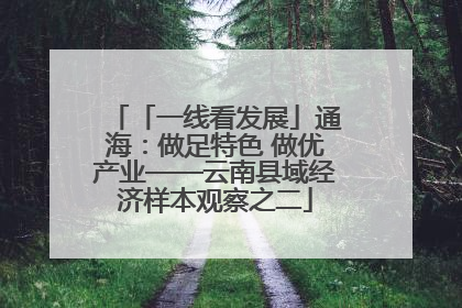 「一线看发展」通海：做足特色 做优产业——云南县域经济样本观察之二