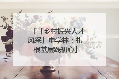 「乡村振兴人才风采」申学林：扎根基层践初心