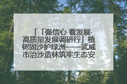 「强信心 看发展·高质量发展调研行」植树固沙护绿洲——武威市治沙造林筑牢生态安全屏障见闻