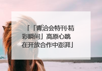 「青洽会特刊·精彩瞬间」高原心跳 在开放合作中澎湃