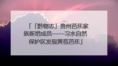 「黔物志」贵州芭蕉家族新增成员——习水自然保护区发现黄苞芭蕉
