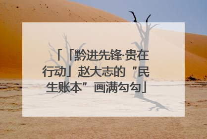 「黔进先锋·贵在行动」赵大志的“民生账本”画满勾勾