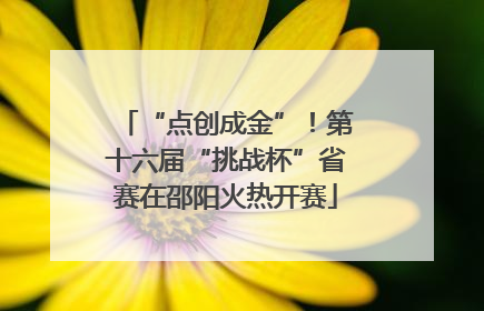 “点创成金”！第十六届“挑战杯”省赛在邵阳火热开赛