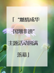 “燃情成华·国潮非遗”主题活动圆满落幕