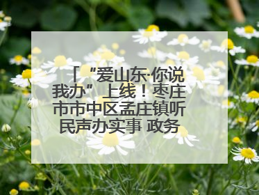 “爱山东·你说我办”上线！枣庄市市中区孟庄镇听民声办实事 政务服务暖心升级