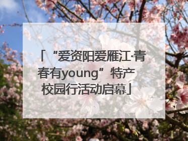 “爱资阳爱雁江·青春有young”特产校园行活动启幕