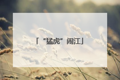 “猛虎”闹江