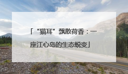 “猫耳”飘散荷香：一座江心岛的生态蜕变