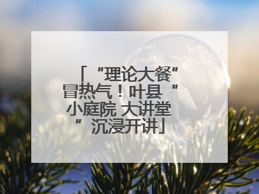 “理论大餐”冒热气！叶县“小庭院 大讲堂”沉浸开讲