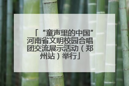“童声里的中国”河南省文明校园合唱团交流展示活动（郑州站）举行