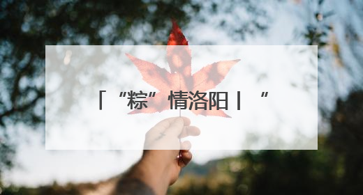 “粽”情洛阳丨“艾”在伊滨 “粽”享露营 端午主题文明实践活动启动