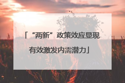 “两新”政策效应显现 有效激发内需潜力