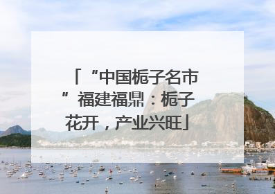 “中国栀子名市”福建福鼎：栀子花开，产业兴旺