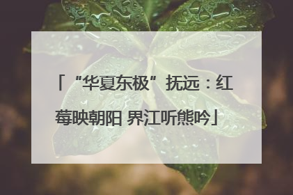 “华夏东极”抚远：红莓映朝阳 界江听熊吟
