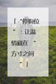 “停狗位 ”：让温情藏在 “方寸之间 ”