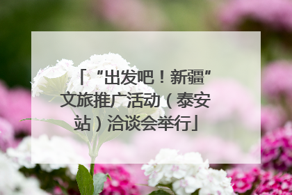 “出发吧！新疆”文旅推广活动（泰安站）洽谈会举行