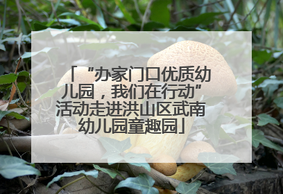 “办家门口优质幼儿园，我们在行动”活动走进洪山区武南幼儿园童趣园
