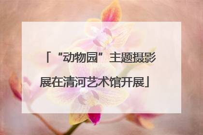 “动物园”主题摄影展在清河艺术馆开展