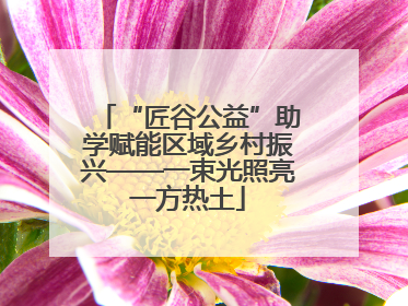 “匠谷公益”助学赋能区域乡村振兴——一束光照亮一方热土
