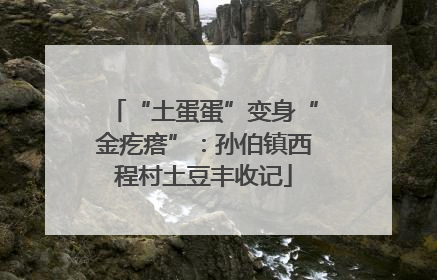 “土蛋蛋”变身“金疙瘩”：孙伯镇西程村土豆丰收记