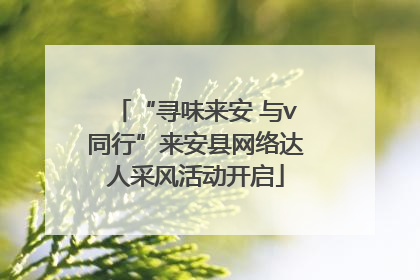 “寻味来安 与v同行”来安县网络达人采风活动开启