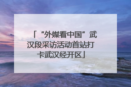 “外媒看中国”武汉段采访活动首站打卡武汉经开区