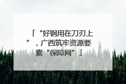 “好钢用在刀刃上”，广西筑牢资源要素“保障网”
