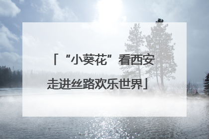 “小葵花”看西安走进丝路欢乐世界