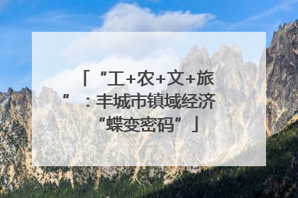 “工+农+文+旅”：丰城市镇域经济“蝶变密码”