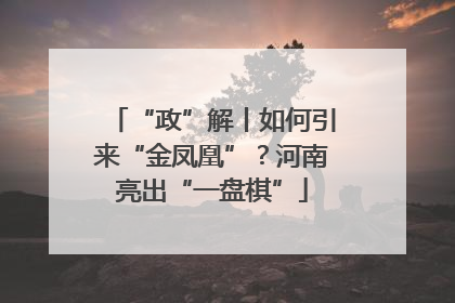 “政”解丨如何引来“金凤凰”？河南亮出“一盘棋”