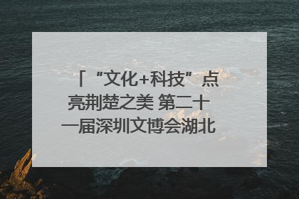 “文化+科技”点亮荆楚之美 第二十一届深圳文博会湖北馆抢“鲜”看
