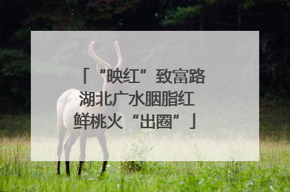 “映红”致富路 湖北广水胭脂红鲜桃火“出圈”