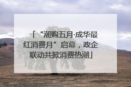 “潮购五月·成华最红消费月”启幕，政企联动共掀消费热潮