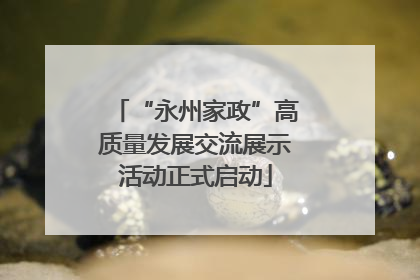 “永州家政”高质量发展交流展示活动正式启动