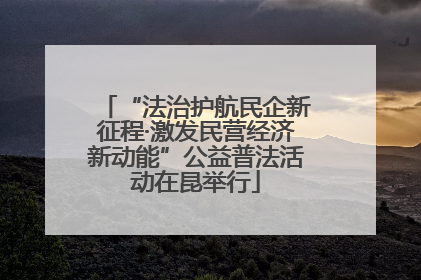 “法治护航民企新征程·激发民营经济新动能”公益普法活动在昆举行