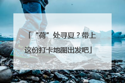 “荷”处寻夏？带上这份打卡地图出发吧