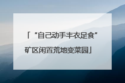 “自己动手丰衣足食”矿区闲置荒地变菜园