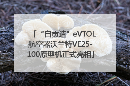 “自贡造”eVTOL航空器沃兰特VE25-100原型机正式亮相