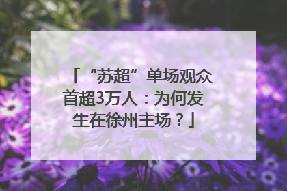 “苏超”单场观众首超3万人：为何发生在徐州主场？