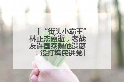 “街头小霸王”林正杰癌逝，老战友许国泰曝他遗愿：没打垮民进党