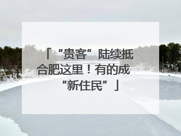 “贵客”陆续抵合肥这里！有的成“新住民”
