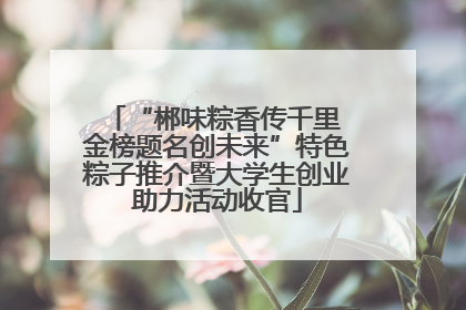 “郴味粽香传千里 金榜题名创未来”特色粽子推介暨大学生创业助力活动收官