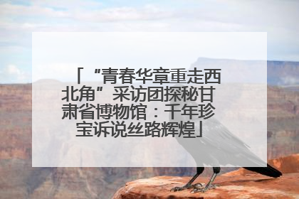“青春华章重走西北角”采访团探秘甘肃省博物馆：千年珍宝诉说丝路辉煌