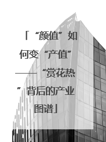 “颜值”如何变“产值”——“赏花热”背后的产业图谱